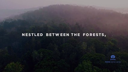 Instant Coffee Manufacturer - Tata Coffee