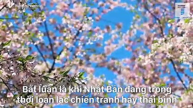 3 loại tu dưỡng tạo nên khí chất nhu hòa của người phụ nữ Nhật truyền thống - Trí Thức VN