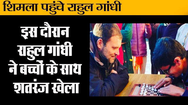 छुट्टियां मनाने शिमला पहुंचे राहुल गांधी,बच्चों के साथ शतरंज खेलते दिखें II Rahul Gandhi Plays Chess With Kids In Shimla