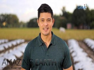 Amazing Earth: Benefits ng organic farming | Teaser