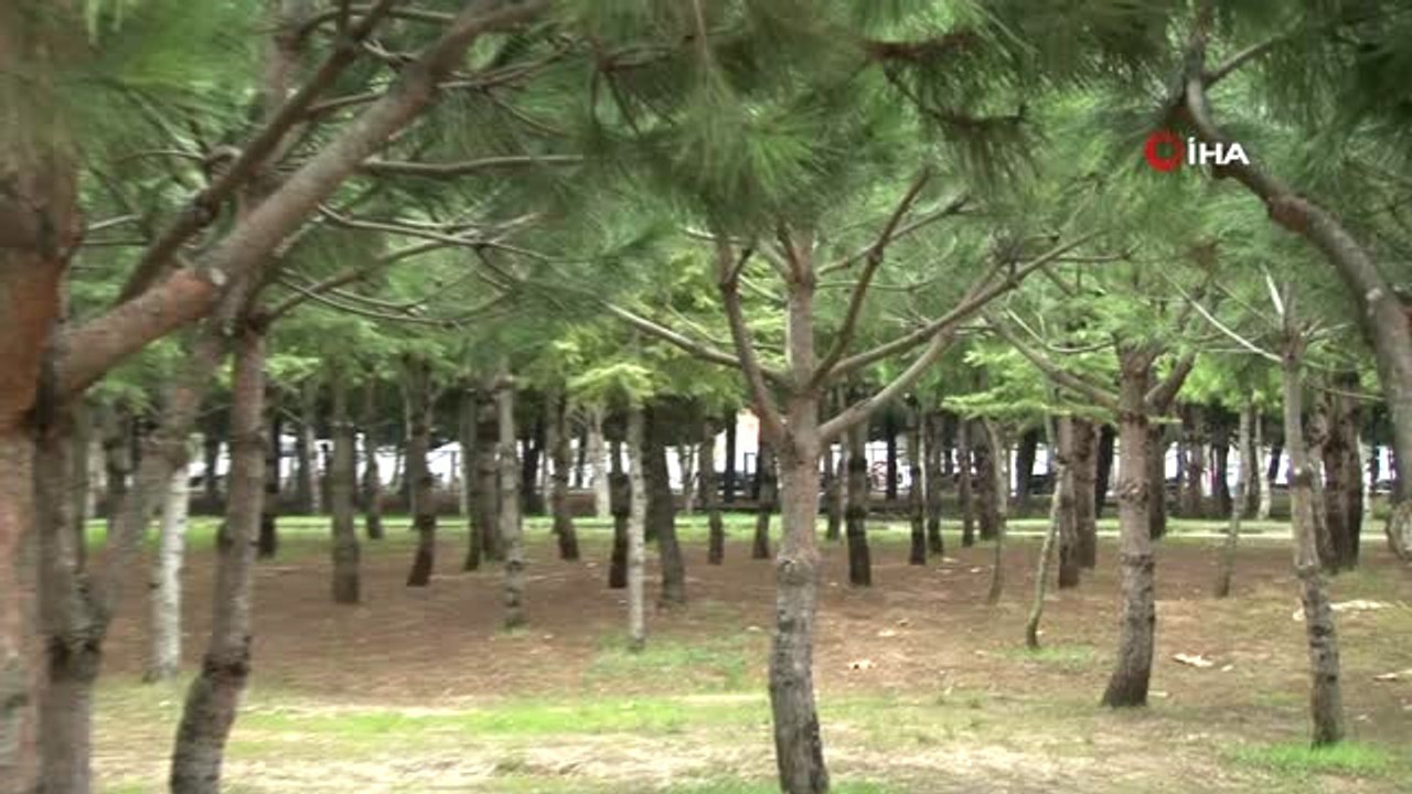 Vehbi Orakçı: "Beylikdüzü'nü Daha da İleri Taşımaya Kaldığımız Yerden Devam Edeceğiz"