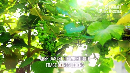 Tretet ein ins Paradies HD BotschaftDesMessias