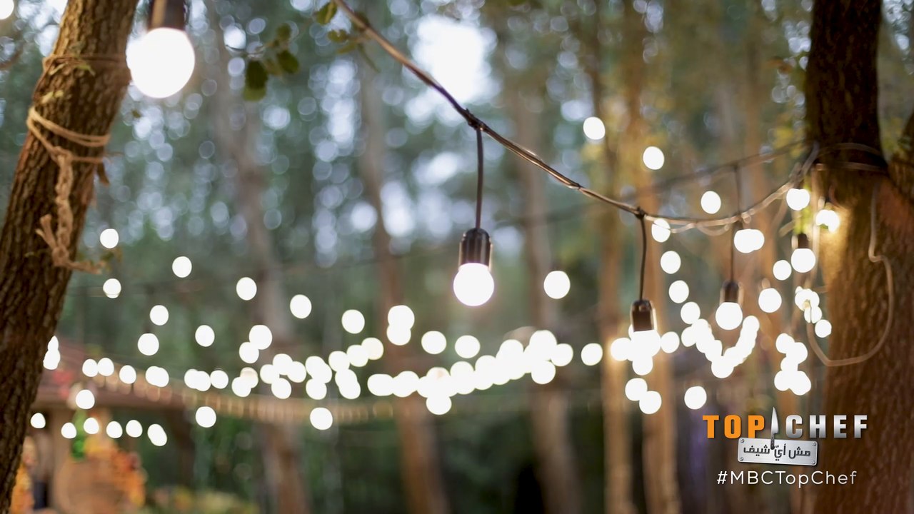 بأجواء من الرقص والغناء والطبخ أحيا الطهاة هذا الزفاف، تذكروا معنا هذه اللحظات