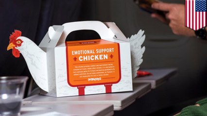 Popeyes drops Emotional Support Chicken for hungry travelers