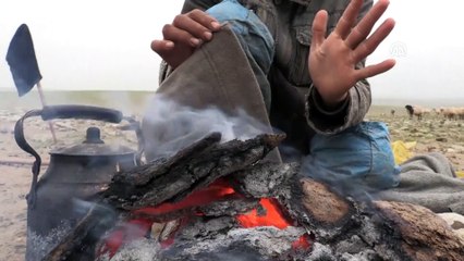 Şanlıurfalı çobanların zorlu kış mesaisi - ŞANLIURFA