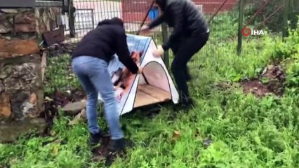 Vatandaşlardan sokak hayvanlarına pratik yuva