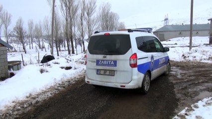 Vatandaşın donmak üzereyken kurtardığı eşek barınakta - BİNGÖL