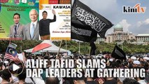 Self-proclaimed gov't rep slams DAP at 