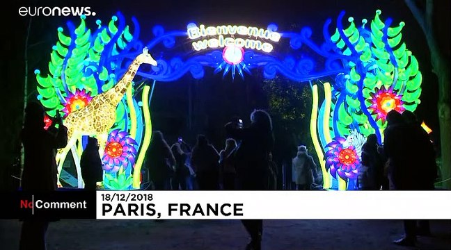 Espetáculo de lanternas e luzes destaca espécies ameaçadas no mundo