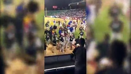 Huge Brawl Breaks Out At Venezuela Baseball Game