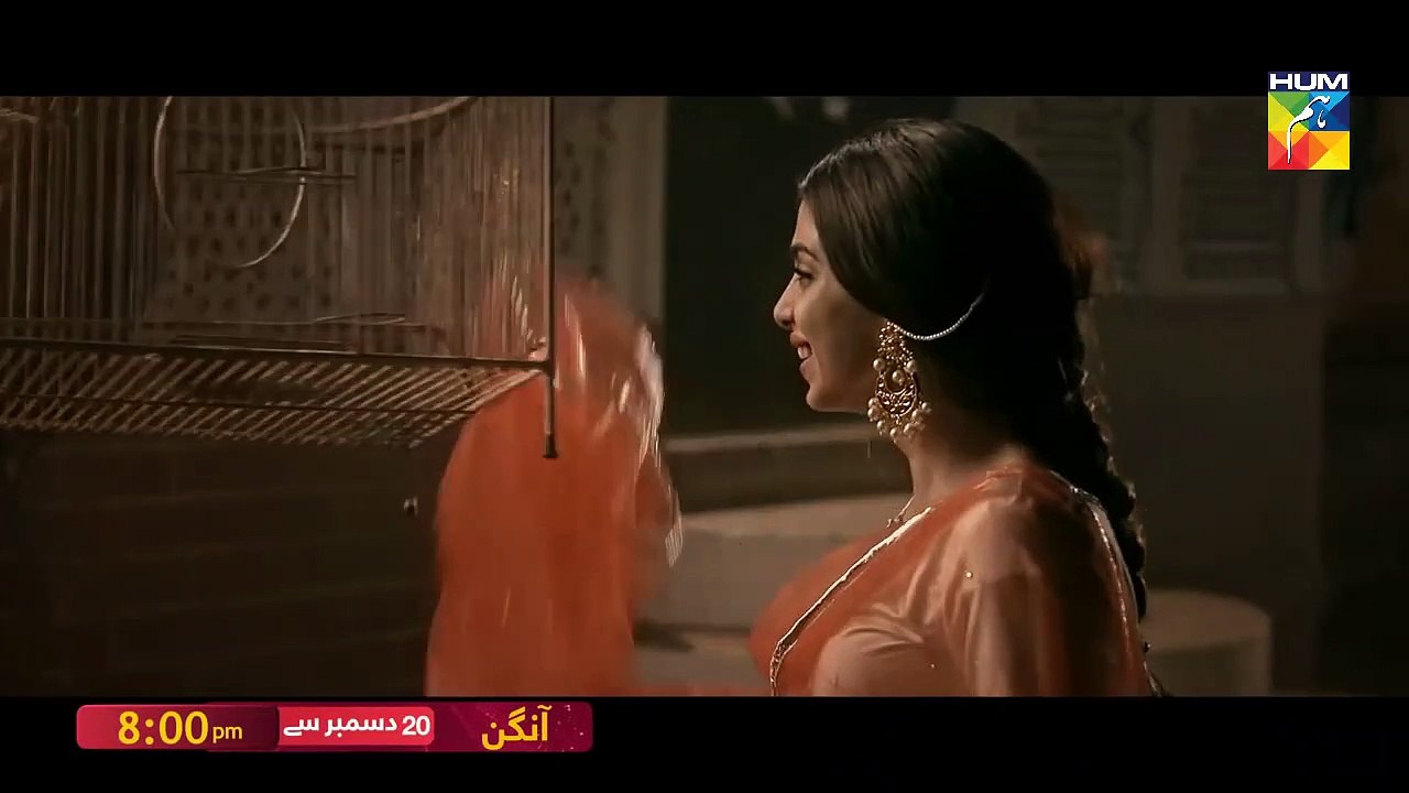 Aangan - Promo 1 - HUM TV - Drama