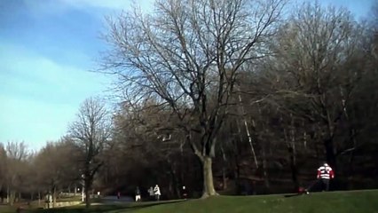 Eagle Snatches The Kid