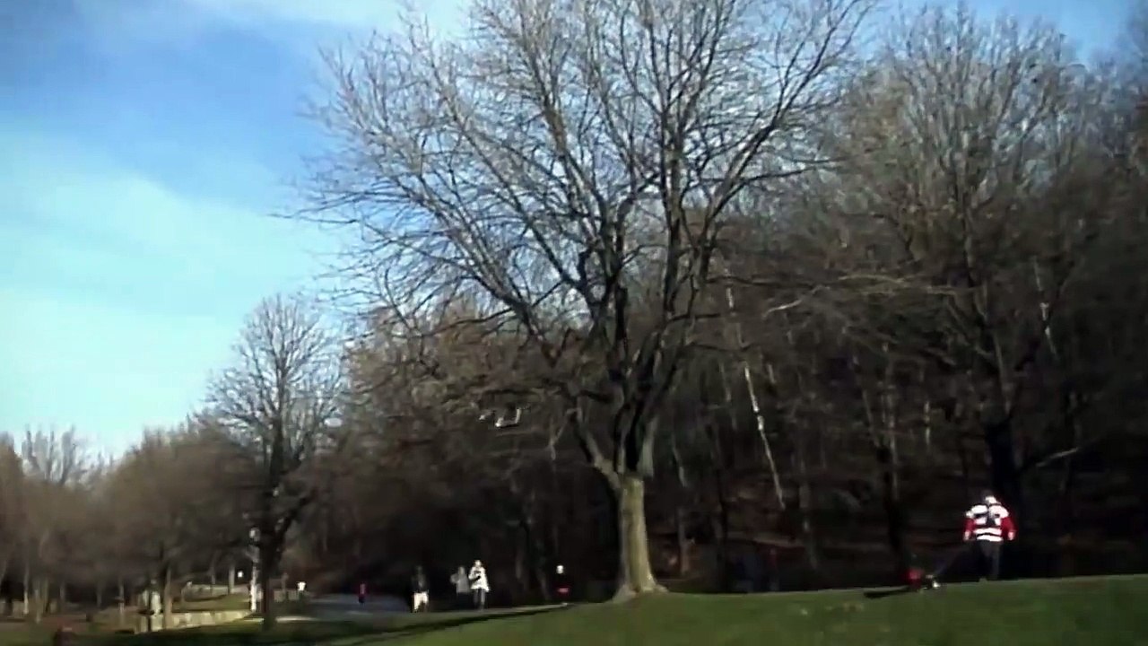 Eagle Snatches The Kid