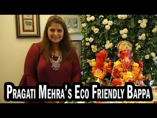 Pragati Mehra's Eco-friendly Ganpati Bappa