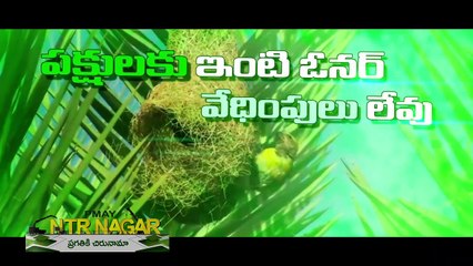 PMAY NTR Nagar Housing Scheme Ad Film