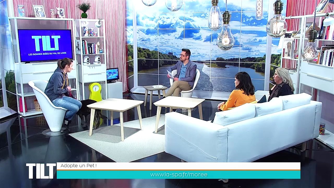 Adopte un PET ! Nos animaux coups de coeur à adopter