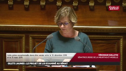 Véronique Guillotin : « Les avancées sont tardives et ne répondent pas au malaise profond »