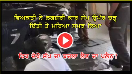 young man was driving his BMW