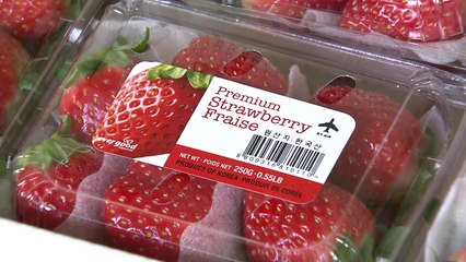 농산물 수출도 한류 바람 타고 사상 최고치 갱신 / YTN