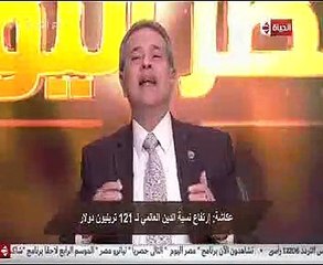 "عكاشة": ألمانيا أعادت اقتصادها بعد الحرب بالمشروعات الصغيرة