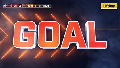 ECHL South Carolina Stingrays 4 at Greenville Swamp Rabbits 3