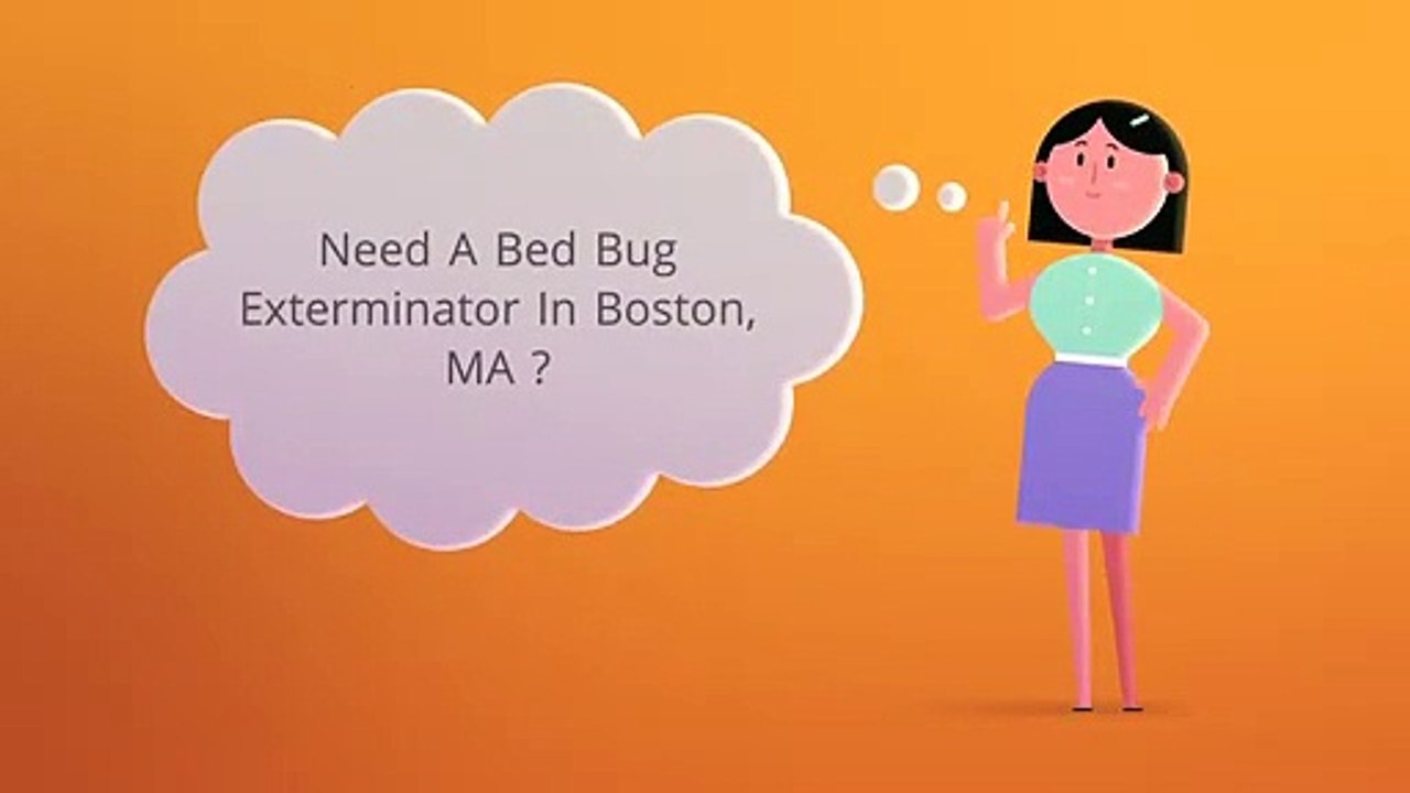 OCP Bed Bug Exterminator Boston MA - Bed Bug Removal