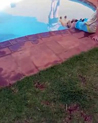 통장위조  카톡 ID best3838 #대학교졸업증명서위조 #고등학교졸업증명서위조 #졸업증명서위조  광고글삭제후에도365일실시간문의가능