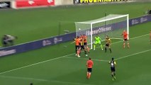 Papadopoulos Own Goal - Wellington Phoenix vs Brisbane Roar  1-0  22.12.2018 (HD)