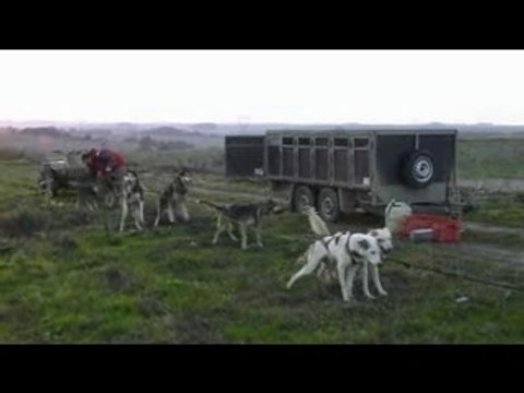 2007.10 entrainements des chiens en quad