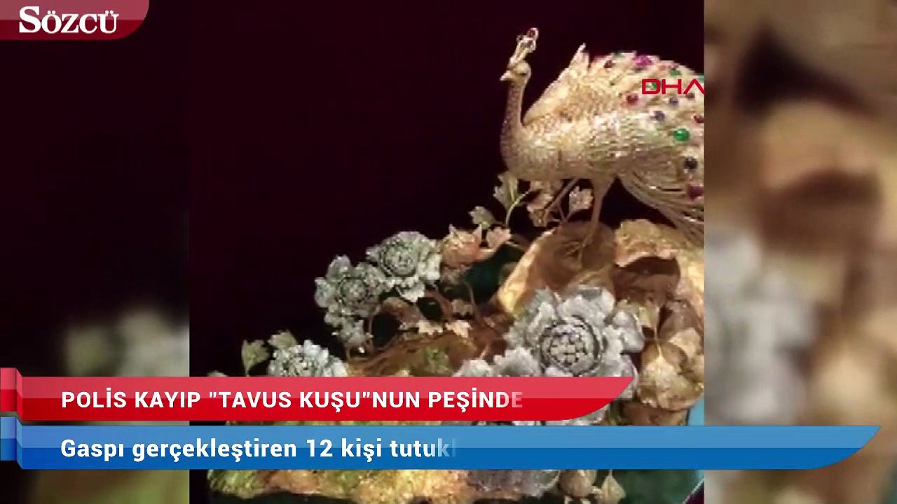 27 milyonluk tavuskuşu biblosu gaspı