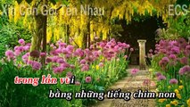 [KARAOKE] Xin Còn Gọi Tên Nhau