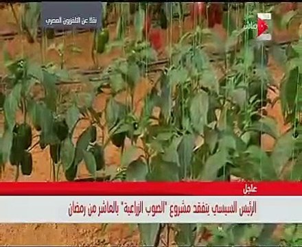 الرئيس السيسي يتفقد الصوب الزراعية بالعاشر من رمضان