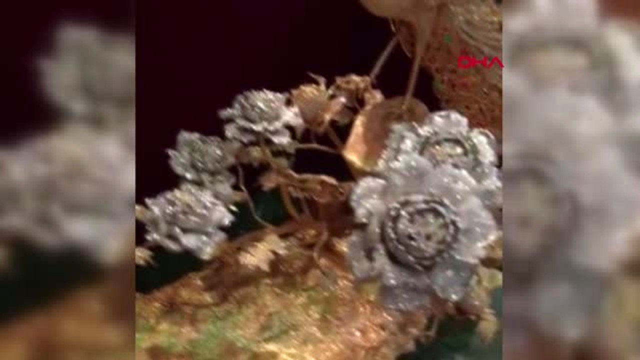 İstanbul Polis Kayıp Tavus Kuşunun Peşinde