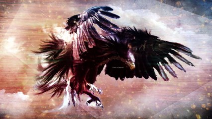 Eagle Motion Background Animation Video Effect HD