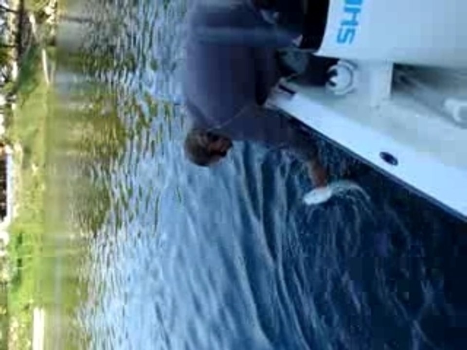 DeltaFishingClub guide Julien sur le Rio Ebro