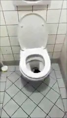 Ce qu'il va trouver en allant aux toilettes est un peu flippant