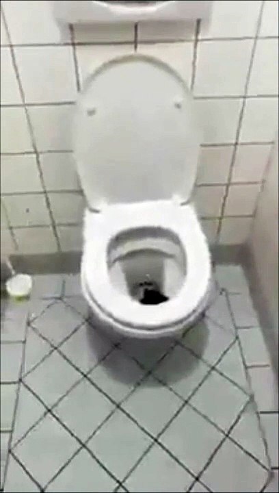 Ce qu'il va trouver en allant aux toilettes est un peu flippant
