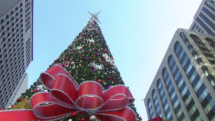 [날씨] "화이트 크리스마스 없다"...눈 대신 강추위 기승 / YTN