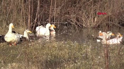 Yalova Halk Sağlığını Etkileyecek Durum Yok