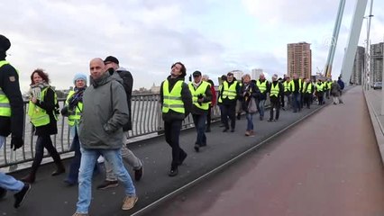 Hollanda'da Sarı Yelekliler Hükümetin Politikalarını Protesto Etti