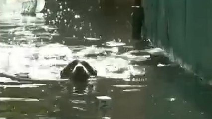 Temporal e inundações em Havana