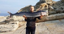 Balık Avına Çıkan Vatandaş, Oltayla 21 Kiloluk Kılıç Balığı Yakaladı