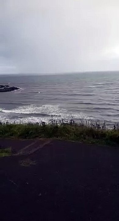 Paragliding Coastal Soaring in Kinghorn, Fife, Scotland