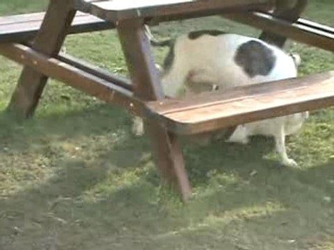 clic clac pete un boulon