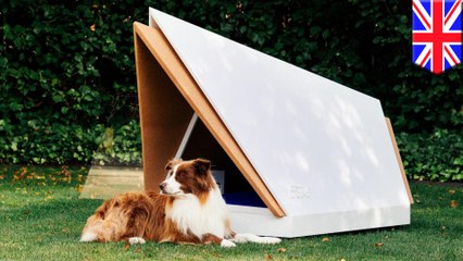 Ford presents sound-proof dog kennel prototype