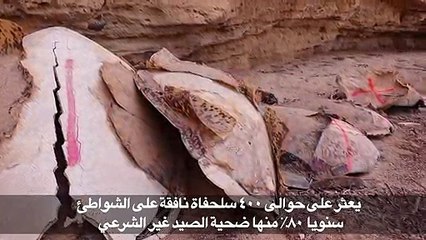 مايوت تواجه صعوبات في مكافحة الصيد غير القانوني للسلاحف الخضراء