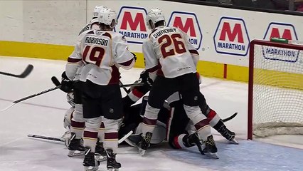 AHL: Belleville Senators 2 vs. Cleveland Monsters 3