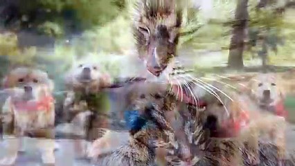 5 Madres Animales Salvando a sus Hijos de Manera Increíble que si no Graban Nadie Creería