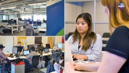 When Being Stubborn Pays Off in Early-Stage Startups
