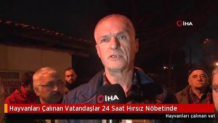 Hayvanları Çalınan Vatandaşlar 24 Saat Hırsız Nöbetinde